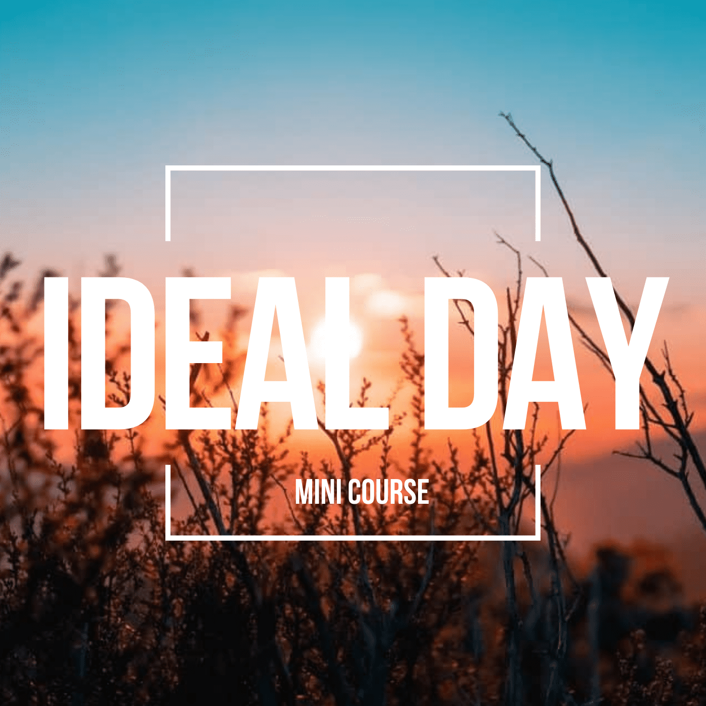 Ideal Day course
